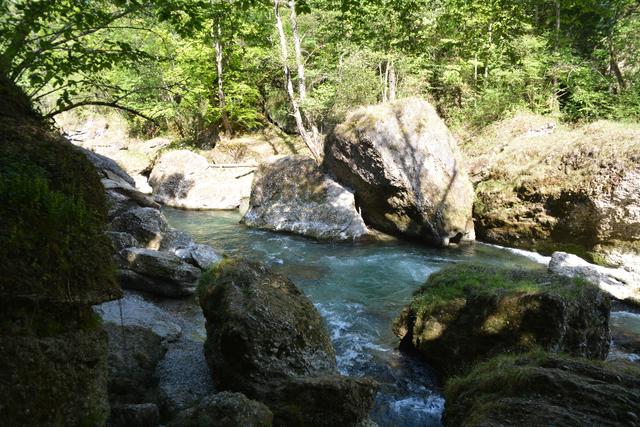 Das Naturdenkmal Erlaufschlucht gilt als beliebtes Ausflugsziel. | Foto: Roland Mayr