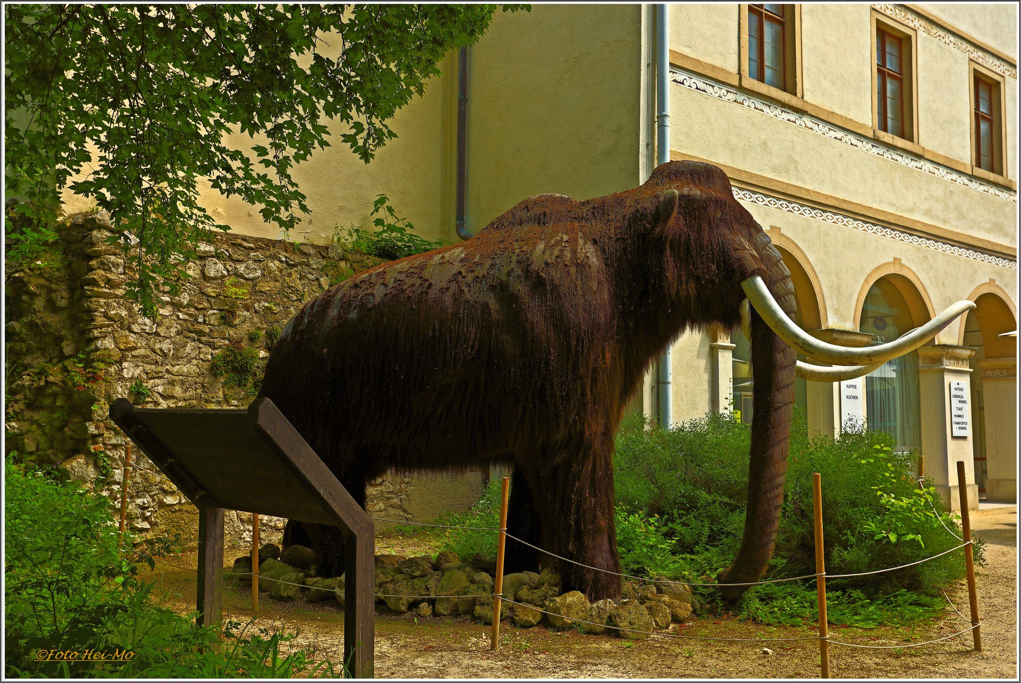 Urgeschichte Museum Niederösterreich