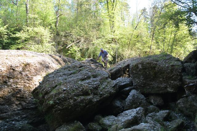 Das Naturdenkmal Erlaufschlucht gilt als beliebtes Ausflugsziel. | Foto: Roland Mayr