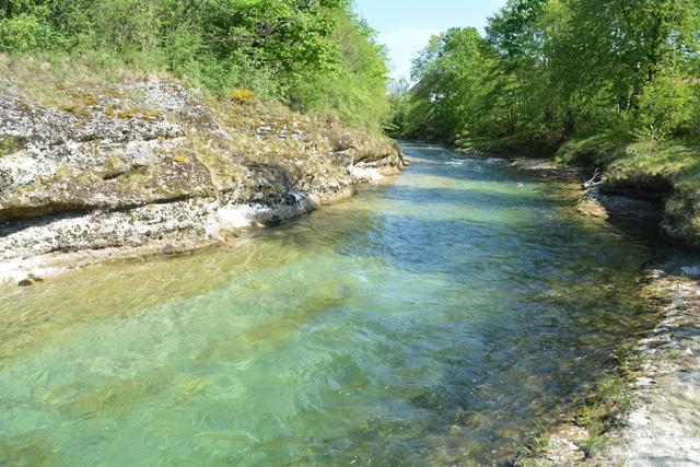Unterwegs auf der Via Aqua: Der Erlauf entlang führt der Weg ins Purgstaller Zentrum. | Foto: Roland Mayr