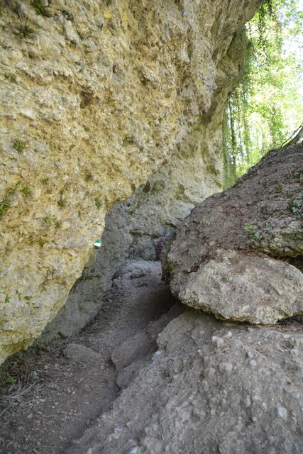 Das Naturdenkmal Erlaufschlucht gilt als beliebtes Ausflugsziel. | Foto: Roland Mayr