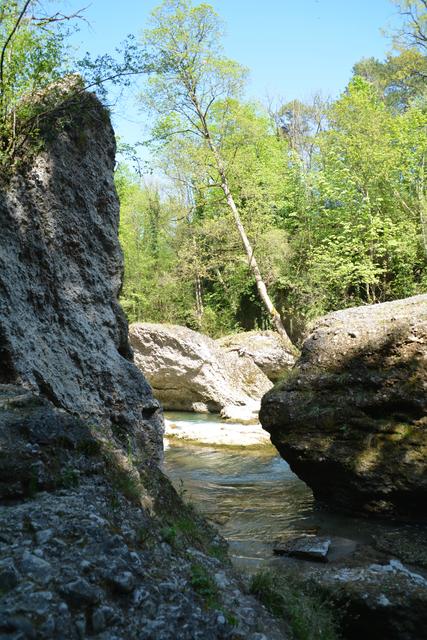 Das Naturdenkmal Erlaufschlucht gilt als beliebtes Ausflugsziel. | Foto: Roland Mayr