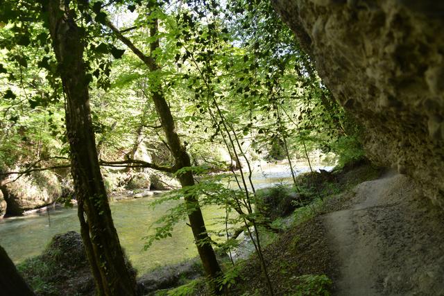 Die Erlaufschlucht hat eine einzigartige Flora und Fauna zu bieten. | Foto: Roland Mayr