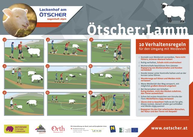 Zehn Verhaltensregeln für den richtigen Umgang mit Weidevieh | Foto: oetscher.at