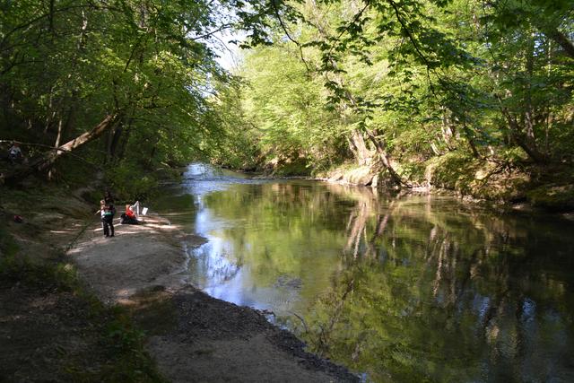 Die Erlaufschlucht hat eine einzigartige Flora und Fauna zu bieten. | Foto: Roland Mayr