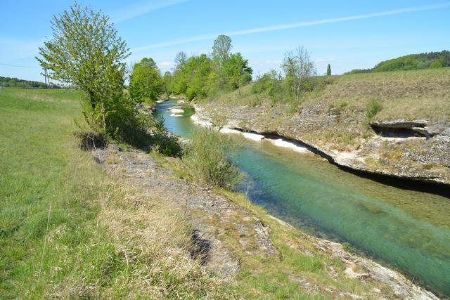 Unterwegs auf der Via Aqua: Der Erlauf entlang führt der Weg ins Purgstaller Zentrum. | Foto: Roland Mayr