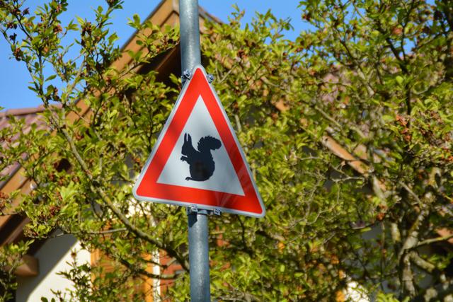 Unterwegs auf der Via Aqua: Angekommen im Zentrum von Purgstall an der Erlauf | Foto: Roland Mayr