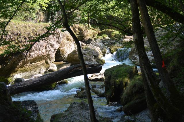Das Naturdenkmal Erlaufschlucht gilt als beliebtes Ausflugsziel. | Foto: Roland Mayr