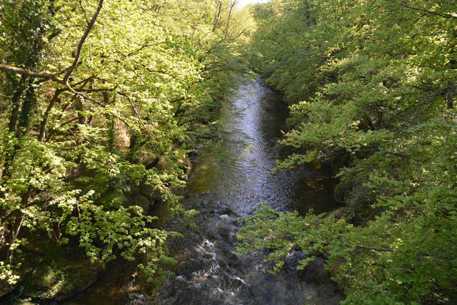 Das Naturdenkmal Erlaufschlucht gilt als beliebtes Ausflugsziel. | Foto: Roland Mayr