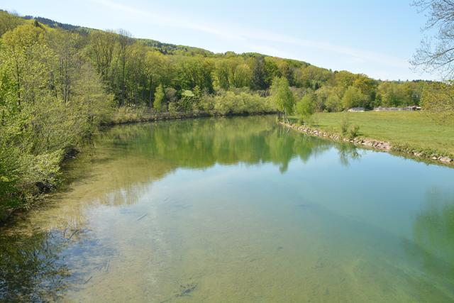 Unterwegs auf der Via Aqua: Der Erlauf entlang führt der Weg ins Purgstaller Zentrum. | Foto: Roland Mayr