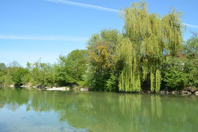Unterwegs auf der Via Aqua: Der Erlauf entlang führt der Weg ins Purgstaller Zentrum. | Foto: Roland Mayr