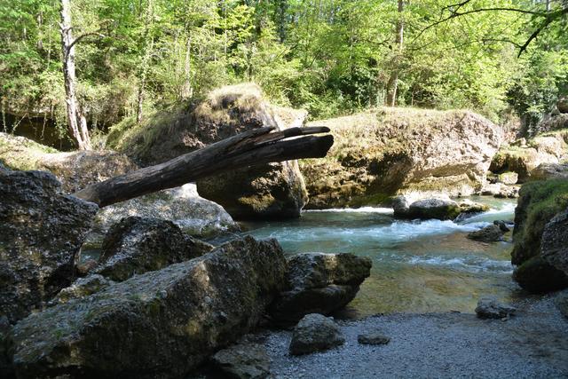 Das Naturdenkmal Erlaufschlucht gilt als beliebtes Ausflugsziel.