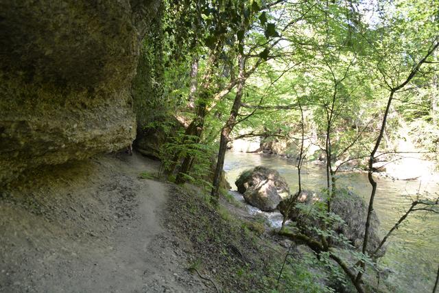 Die Erlaufschlucht hat eine einzigartige Flora und Fauna zu bieten. | Foto: Roland Mayr