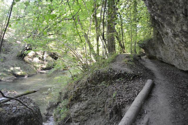 Das Naturdenkmal Erlaufschlucht gilt als beliebtes Ausflugsziel. | Foto: Roland Mayr