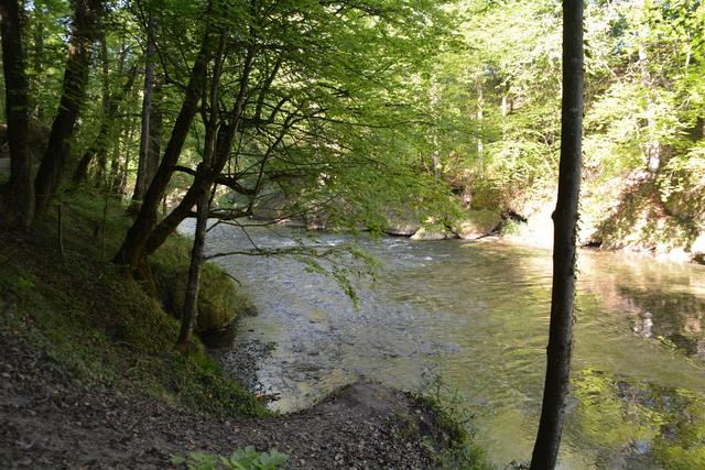 Das Naturdenkmal Erlaufschlucht gilt als beliebtes Ausflugsziel. | Foto: Roland Mayr