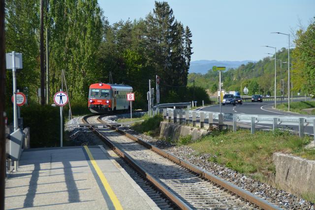 Mit dem Zug ging's von Schauboden aus zurück in die Stadt Scheibbs. | Foto: Roland Mayr
