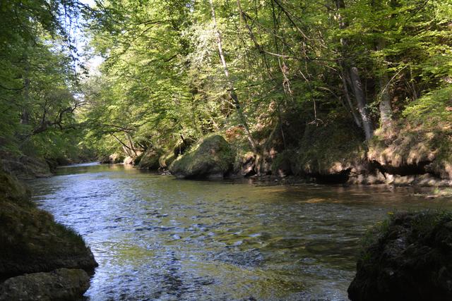 Das Naturdenkmal Erlaufschlucht gilt als beliebtes Ausflugsziel. | Foto: Roland Mayr