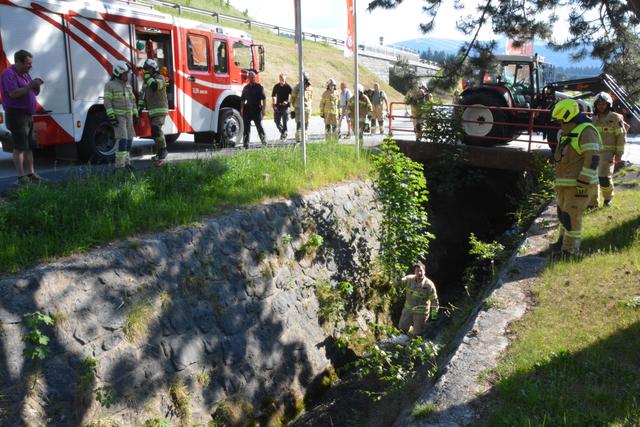 Nachdem sich eine entlaufene Kuh in einem Bachbett in Söll verirrt hatte, versuchte die Feuerwehr das Tier zu retten – leider vergeblich.  | Foto: ZOOM.Tirol
