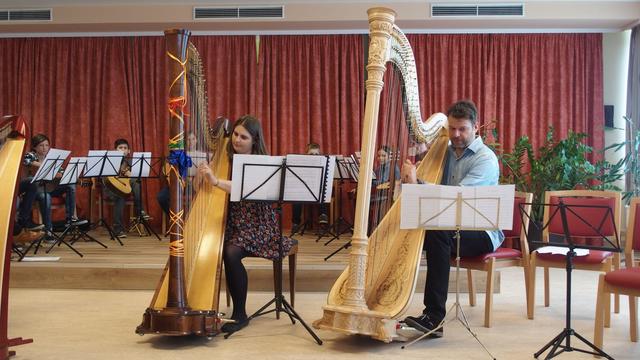 Harfenlehrer Michal Matejcik mit Schülerin Elsa Matschek | Foto: Musikschule Tulln