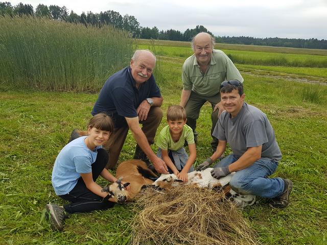 Die erfolgreichen "Einfänger" mit der weißen Schafsmutter, die monatelang mit ihrem Jungen durch die Wildnis gestreift war. | Foto: Gratzl