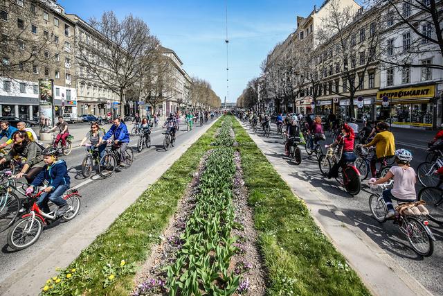 980.888 Radler waren im Mai in Wien unterwegs – das ist um 45 Prozent mehr als im Vorjahr. | Foto: Fürthner