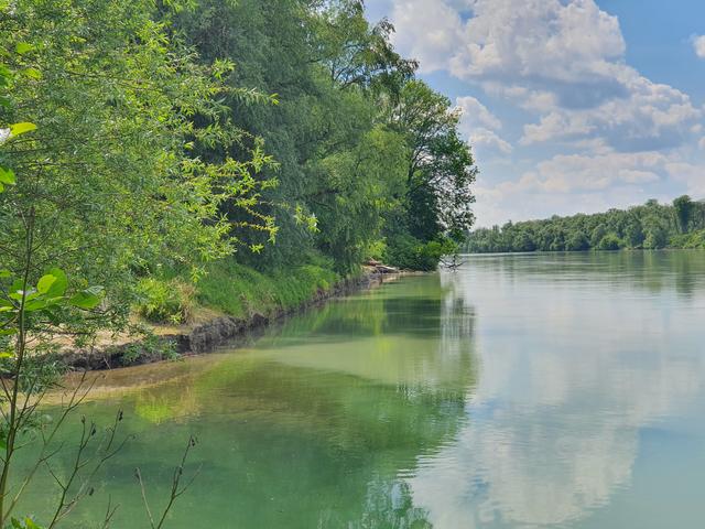 Der Blick auf den Inn - Ruhe und Entspannung in unserer schönen Natur daheim! | Foto: MP