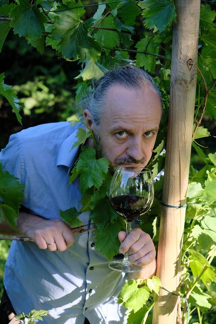 Schauspieler und Hobbywinzer Reinhold Moritz, selbst aus Deutschkreutz, wurde an Bord geholt und gemeinsam mit Kollegen der heimischen Film- und Fernsehbranche entstand die Miniserie „Der ganz normale Weinsinn“ | Foto: Claus Erharter