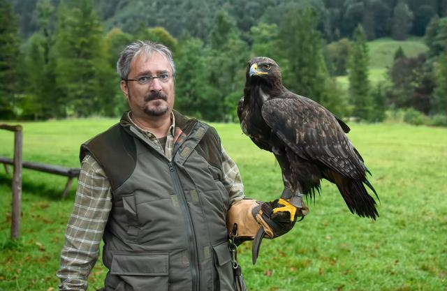 Falkner Mike und Adler Shuruga müssen heuer pausieren. | Foto: Christian Kerbl
