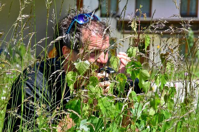 Foto: Kral/StageFoto