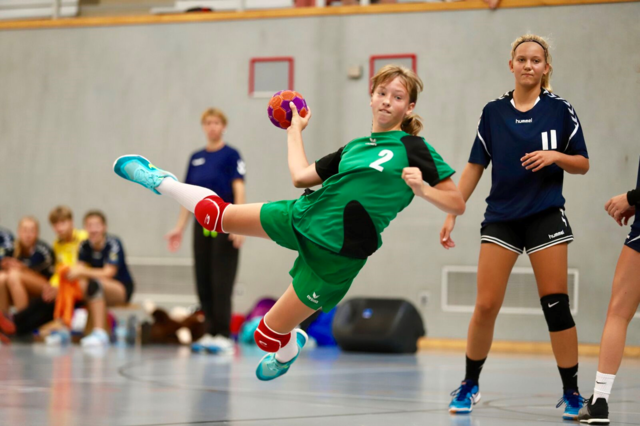 Viele junge Handballerinnen und Handballer hoffen, dass es heuer von 28. bis 30. August trotz der Corona-Einschränkungen mit dem 27. Schmelzer Jugendhandball-Turnier klappt. Toller Handballsport, wie im Bild aus dem Vorjahr, ist dann wieder garantiert.