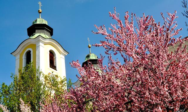Geld aus dem Diözesanbudget für die Kirche St. Johann. | Foto: Kogler