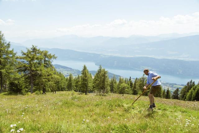 Franz Glabischnig auf der Alexander-Alm