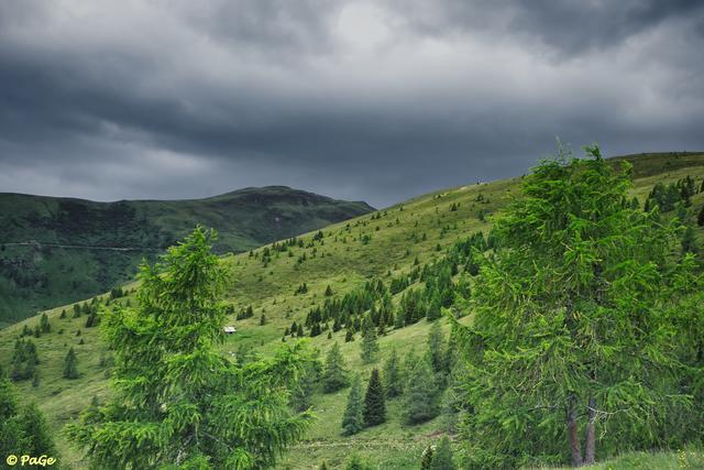 Blick Richtung Gipfel