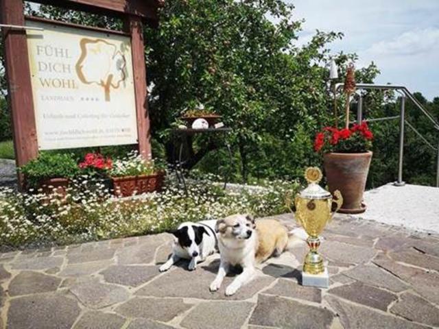 Tiffy und Coco bewachen den Pokal.