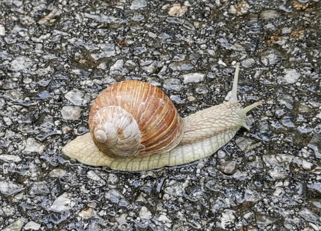 Davon trafen wir einige unterwegs.