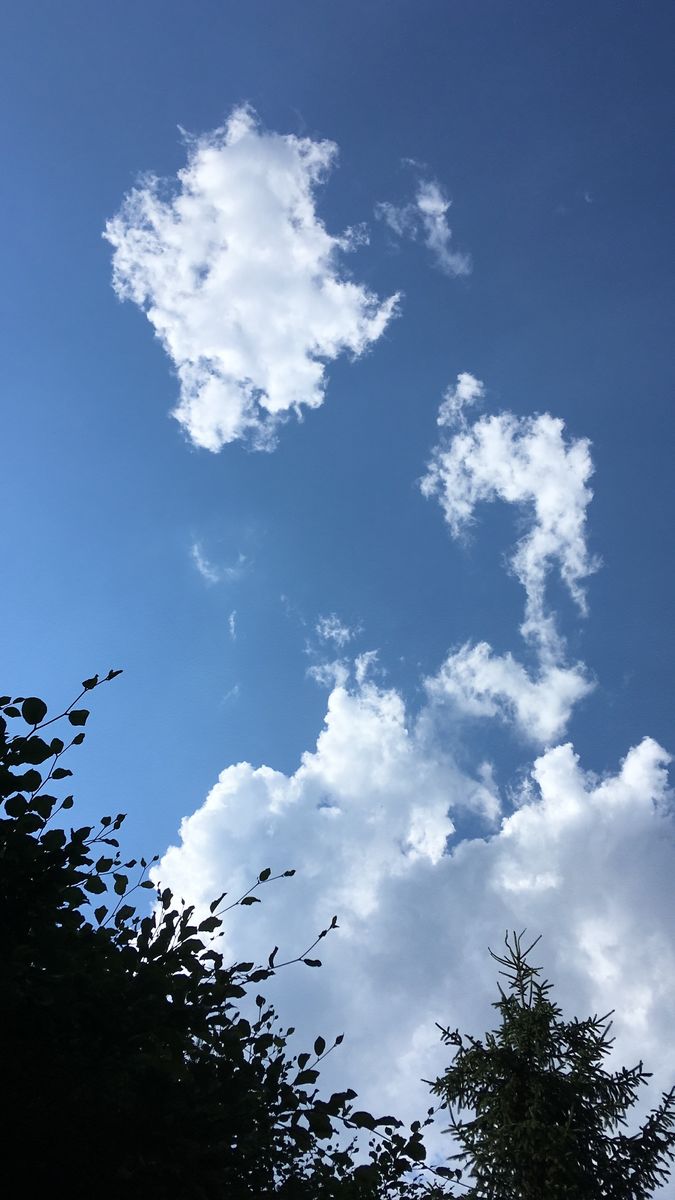 Download Rilke zitate mut For Free