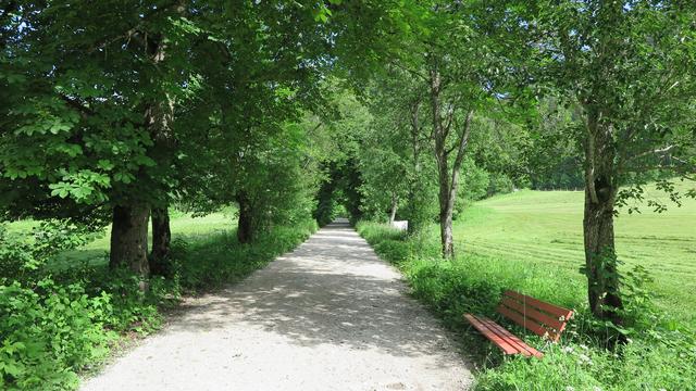 Traumhafte Parkidylle statt Wanderweg zu den Seen