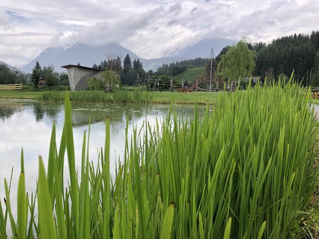 Beim Nessiteich kann man etwas erleben. | Foto: Peter J. Wieland