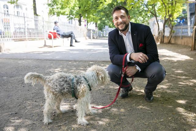 Die Hundezone erstrahlt in neuem Glanz.