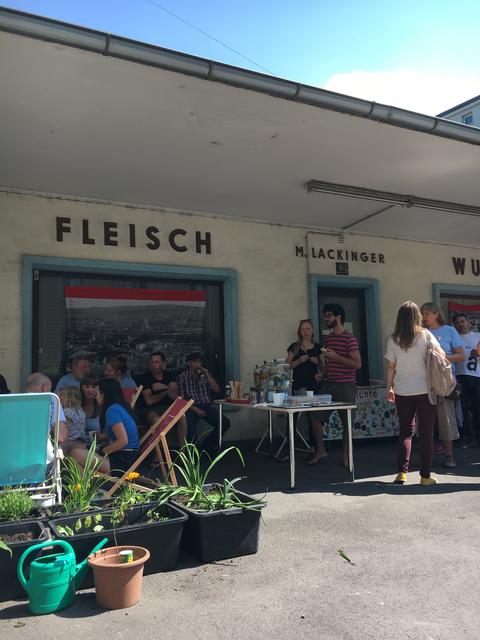 Die Pflanzen sind schon da, doch noch fehlt die Genehmigung von der Stadt für den Gemeinschaftsgarten. | Foto: BRS
