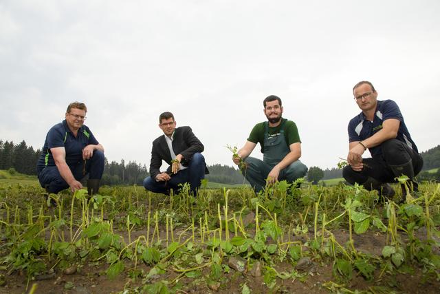 Agrarreferent LR Martin Gruber bei der Schadensbesichtigung. | Foto: Büro LR Gruber/Taltavull