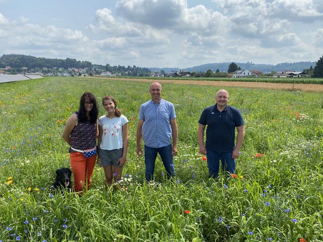 Bürgermeister Gerald Wonner mit Karl, Julia und Sonja Pauritsch in der Blumenwiese, gut bewacht von Samy (von rechts).