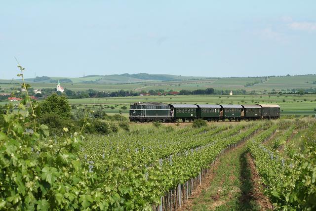 Der Reblaus Express verbindet das Wein- mit dem Waldviertel.  | Foto: NÖVOG/Prokop