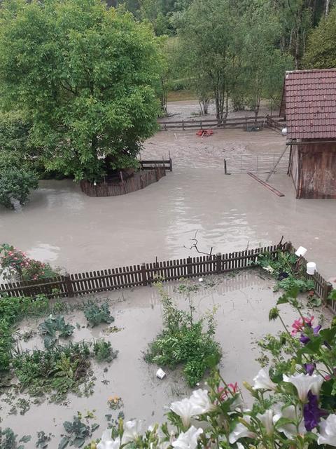 Foto: Faceboook/Veronika Leitner