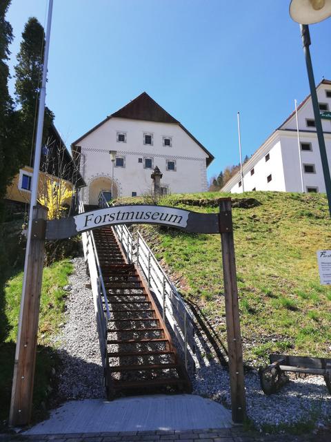 Am Weg zum Forstmuseum Silvanum