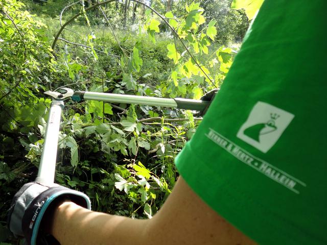 Die Helfer machten sich mit Motorsense, Säge, Astschere und Muskelkraft ans Werk. 