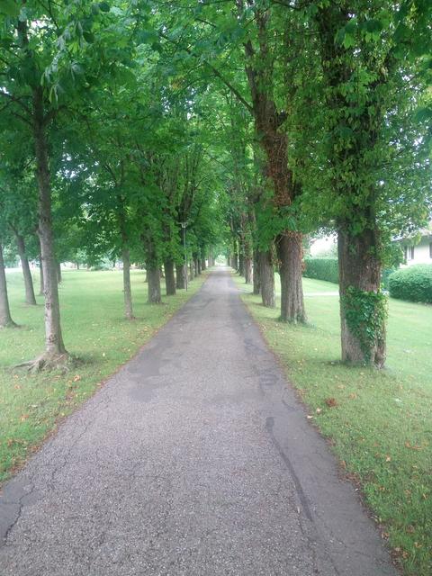 Der Park präsentiert sich durch weitläufige Baum-Alleen...