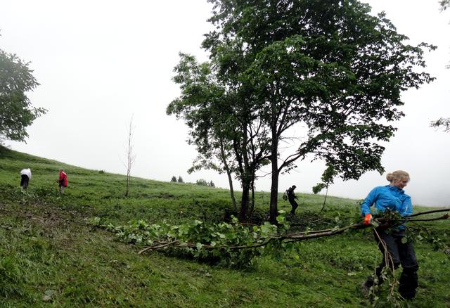 Hier wird aufgeräumt: die Freiwilligen reinigten die Almfläche auf der Gabnalm in Rettenschöss und kamen dabei der Natur näher.  | Foto: Nathalie Harms