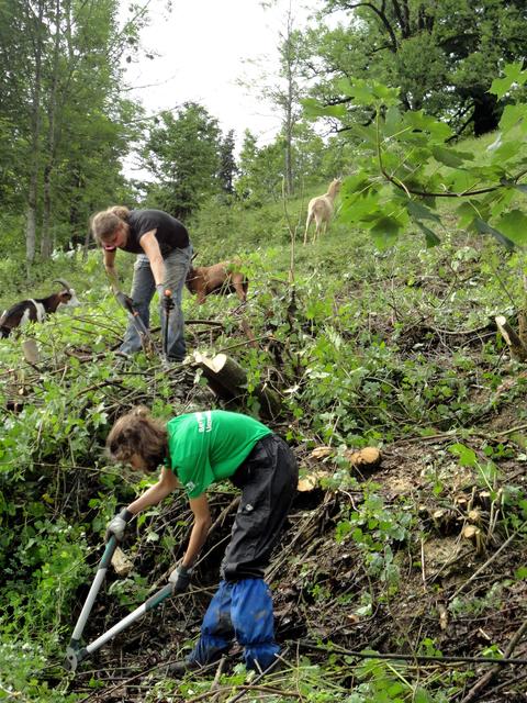 Foto: Nathalie Harms