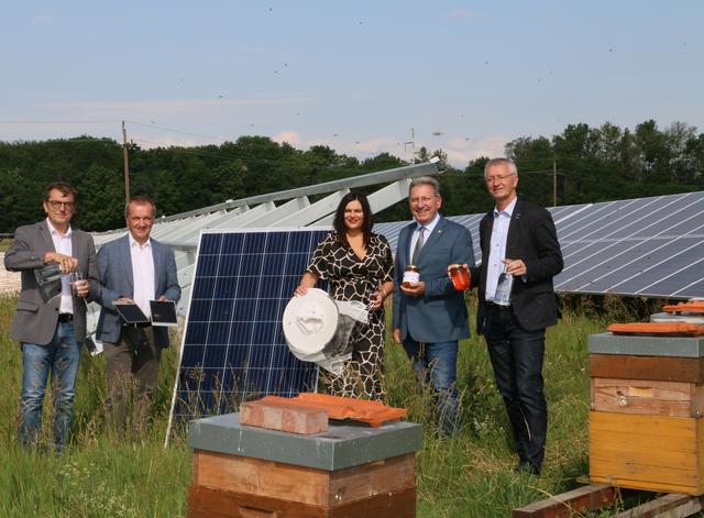 Mitten in der Umwelt-Oase: Helmut Herlicska, Bgm. Michael Lampel, LH-Stv. Astrid Eisenkopf, WLV-Obmann Gerhard Zapfl, Nikolaus Sauer 
 | Foto: WLV